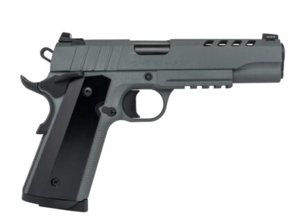 SDS Imports Tisas 1911 Nightstalker Handgun 10mm 8rd Magazines (2) 5" Barrel Grey with Black Grips and Night Sights