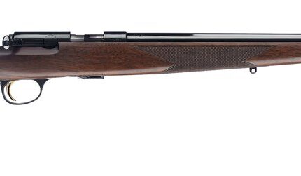 BRN T-BOLT SPRTR RFL 22LR B