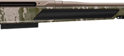 CHA EVOKE MSY OAK BA 243 20