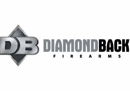 DIAMONDBACK FIREARMS DB-15 PIST 300BLK BLK 8" SBA3