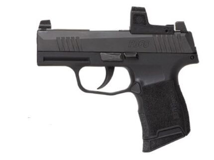 SIG SAUER P365 380ACP ZERO ELITE 10+1  #
