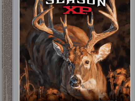 WINCHESTER DEER SEASON XP 243 WIN 95GR 20RD BX 200RD CASE