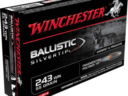 WINCHESTER BALLISTIC SILVERTIP 243WIN 55GR 20RD BX 200RD CASE