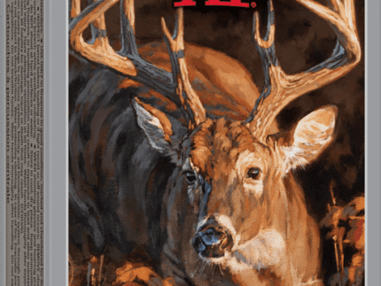 WINCHESTER DEER SEASON 6.8 SPC