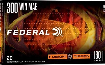 FEDERAL 300 WIN MAG 180GR FUSION TIPPED 20 RD/BX 10 BX/CS