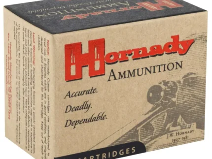 HORNADY CUSTOM 454 CASULL 300GR XTP JHP 20RD BX 200RD CASE
