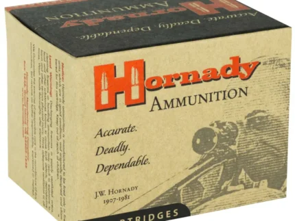 HORNADY CUSTOM 500SW NAG 500G FP XTP 20RD BX 200RD CASE