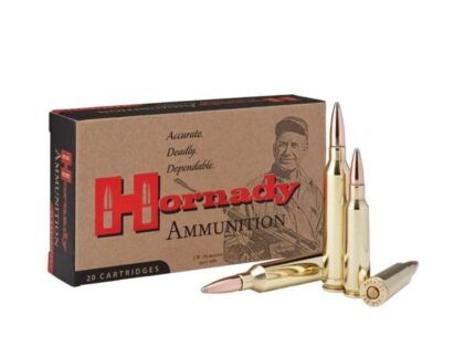 Hornady Custom Rifle Ammunition .250 Savage 100 gr Interlock SP 2800 fps 20/ct