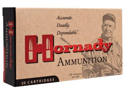 Hornady Custom Rifle Ammunition .405 Win 300 gr InterLock SP 20/Box