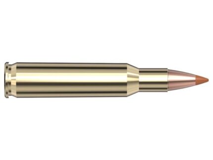 Hornady Superformance Rifle Ammunition .222 Rem 35 gr NTX 3760 fps - 20/ct