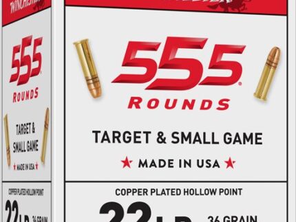 WINCHESTER 22LR 36GR PLATED HP - 1280FPS 555RD 10BX/CS