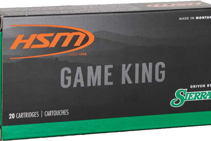 HSM 300 AAC 125GR GAME KING - 20RD 25X/CS