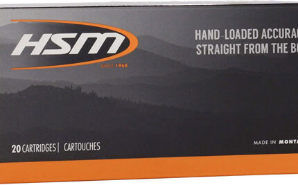 HSM 300 WSM 180GR GAME KING - 20RD 25BX/CS