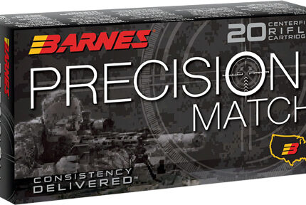 BARNES 300 AAC 220GR OTM FB - 20RD 10BX/CS