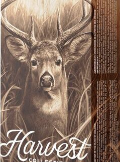BARNES HARVEST 6.5 CM  140GR - TIPPED GAMEKING 20RD 10BX/CS