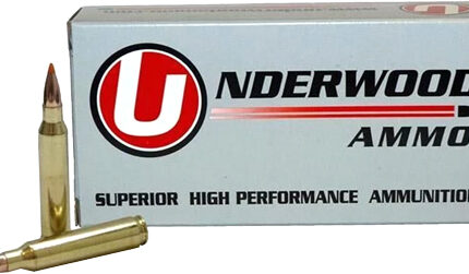 UNDERWOOD 458 HAMMMER 300GR - BALLISTIC TIP 20RD 10BX/CS