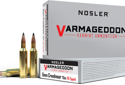 NOSLER VARMAGEDDON 6MM CM - 70GR FBT 20RD 10BX/CS