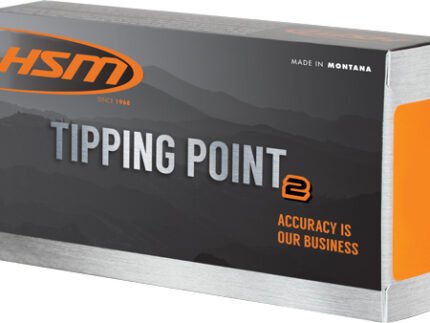 HSM 6MM CM 95GR SST 20RD - 25BX/CS