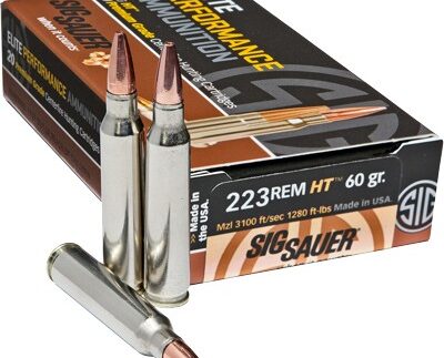 SIG AMMO 223 REM 60GR ELITE - HUNTING HT 20RD 10BX/CS