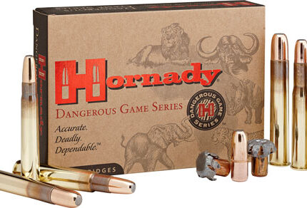 HORNADY 375 RUGER 300GR DGX - BONDED 20RD 6BX/CS