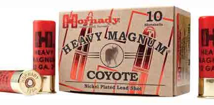 HORNADY 12GA 3" 1-1/2OZ NICKEL - PLATED #BB 10RD 10BX/CS