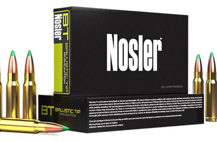 NOSLER BT 30-06 180GR - BALLISTIC TIP 20RD 10BX/CS
