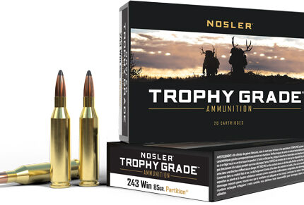 NOSLER TROPHY GRADE 243 WIN - 85GR PARTITION TIP 20RD 10BX/