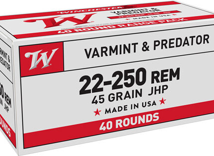 WINCHESTER USA 22-250 REM - 45GR JHP 40RD 10BX/CS
