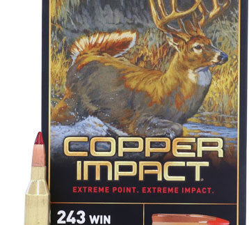 WINCHESTER COPPER IMPACT 243 - WIN 85GR 20RD 10BX/CS
