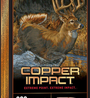 WINCHESTER COPPER IMPACT 300 - WIN MAG 150GR 20RD 10BX/CS
