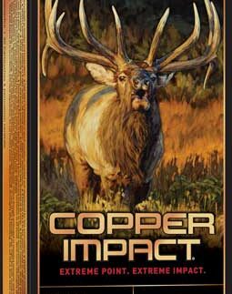 WINCHESTER COPPER IMPACT 300 - WSM 180GR 20RD 10BX/CS