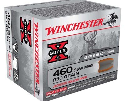 WINCHESTER SUPER-X 460 SW MAG - 250GR JHP 20RD 10BX/CS