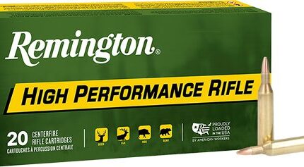 REMINGTON 17 REM 25GR HP - 20RD 10BX/CS