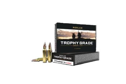 NOSLER TROPHY GRADE 22CM - 70GR ACCU TIP 20RD 10BX/CS