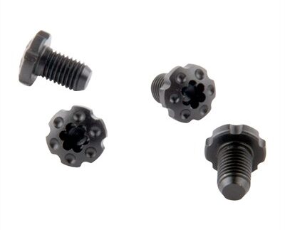 DPL SCREWS (4) FS BLK OUT