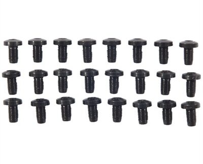 24 PACK H/H BLUE SCREWS