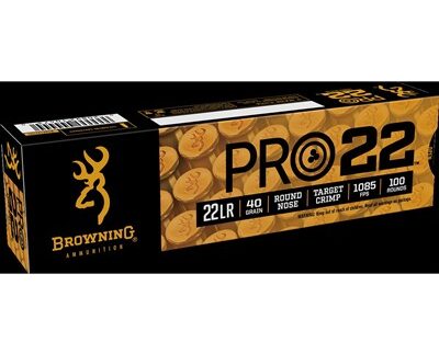 22 LONG RIFLE LEAD ROUND NOSE 100/BOX