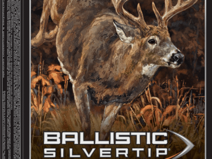 300 WIN MAG 180GR SLVRTP 20RD BOX