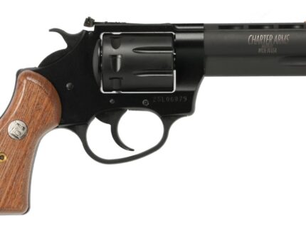 CHARTER ARMS PATHFINDER II 22LR BLK/WD 3.5"