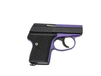 Seecamp LWS-380 Handgun 380 Auto 6rd Magazine 2" Barrel DAO Bright Purple Frame Black Grip