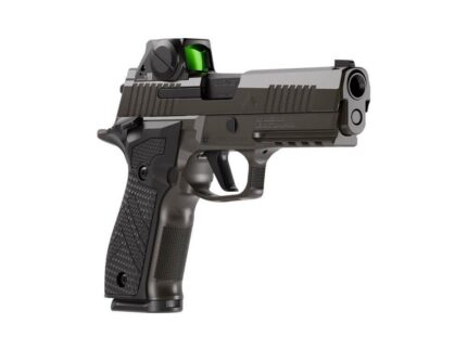 Sig Sauer P226-X Legion SAO Handgun 9mm Luger 18rd Magazines(3) 4.4" Barrel Legion Grey Cerakote w/Optic