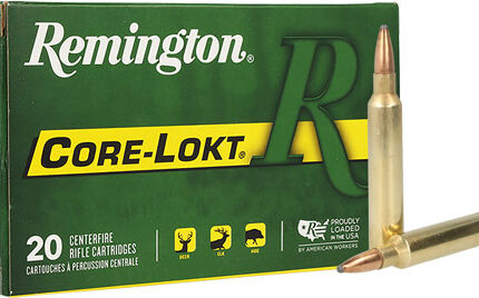 REMINGTON 300 RUM 180GR - CORE-LOKT PSP 20RD 10BX/CS