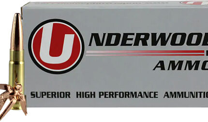 UNDERWOOD 300 AAC 194GR - SUBSONIC 20RD 10BX/CS