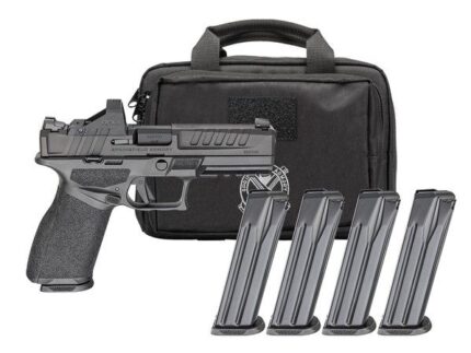 SPRINGFIELD ECHELON 9MM 4.5" - 10RD 4 MAGS GEAR PAC