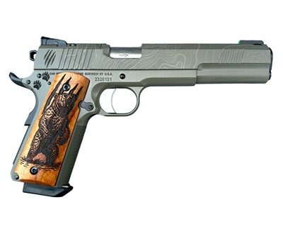 BRUIN OPTIC READY 10MM AUTO 6'' BBL (1)8RD MAG THUNDER PAW