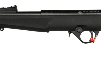 ROSSI RB22 22LR BLK/SYN FLAG 16.5" #