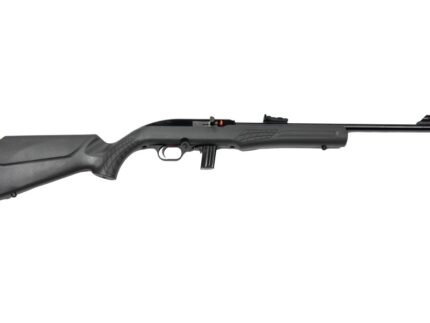 ROSSI RS22 22LR BLK/GRAY 18" 10+1  #