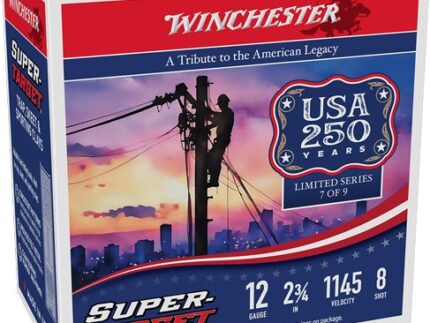 WINCHESTER TARGET 12GA 2.75" - 1-1/8OZ #8 1145FPS 250RD CASE