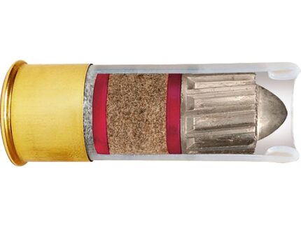 Brenneke 16 Slugs 16 ga. 2 1/2 in 1 oz. 5 rd.