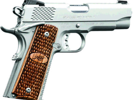Kimber Pro Raptor II Pistol 45 ACP 4 in. Stainless 8+1 rd.